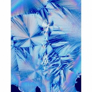 【送料無料】[CD]/DUSTCELL/碧い海 [初回生産限定盤]