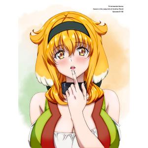 【送料無料】[DVD]/アニメ/異世界迷宮でハーレムを DVD BOX 上巻 [通常版]