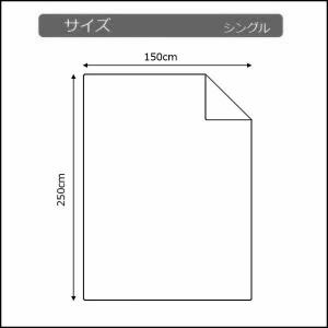 フラットシーツ業務用【単品】綿100% 150...の詳細画像5