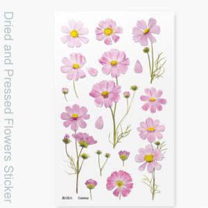 コスモス ドライフラワー ベビー キッズ マタニティ の商品一覧 通販 Yahoo ショッピング