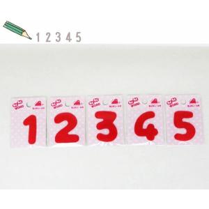 ( わくわくワードワッペン )Red 12345...の商品画像