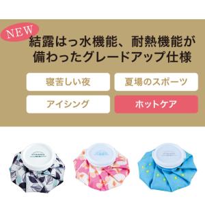 ひょうのう 氷嚢 氷のう アイシング エコ 結...の詳細画像1