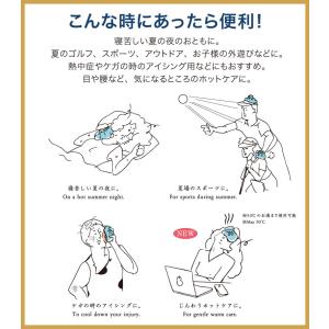 ひょうのう 氷嚢 氷のう アイシング エコ 結...の詳細画像3