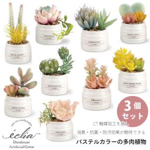 CT触媒 フェイクグリーン 造花 多肉植物 寄せ植え Sサイズ 小さめ パステルカラー かわいい 箱入り 観葉植物 消臭 抗菌 防汚 エクリア｜nest-grasshopper