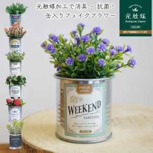 フェイクグリーン 光触媒 消臭 抗菌 フェイクフラワー 多肉植物 缶入り ヴィンテージ 店舗装飾 国内加工 プレゼント ギフト 箱入り シンプル｜nest-grasshopper