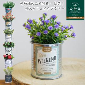 フェイクグリーン 光触媒 消臭 抗菌 フェイクフラワー 多肉植物 缶入り ヴィンテージ 店舗装飾 国内加工 箱入り シンプルの商品画像