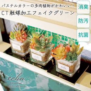 CT触媒 フェイクグリーン 造花 多肉植物 寄せ植え Sサイズ 小さめ パステルカラー かわいい 箱入り 観葉植物 消臭 抗菌 防汚 エクリア｜nest-grasshopper