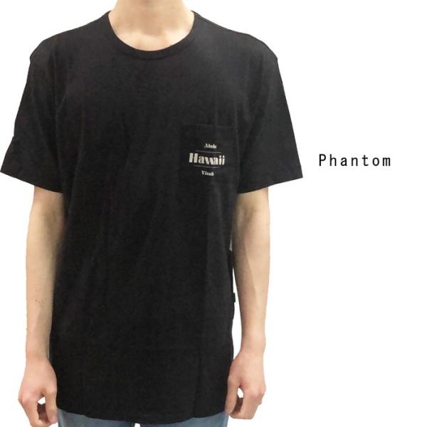 ヴィスラ Tシャツ ロゴＴ VISSLA SMU HA GADOO TEE Phantom Blac...