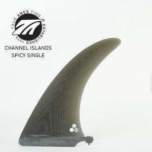 サーフィン シングルフィン トゥルーアムス×チャネルアイランド TRUE AMES × CHANNEL ISLANDS SPICY SINGLE FIN Smoke スモーク スパイシーシングルフィン｜nest001