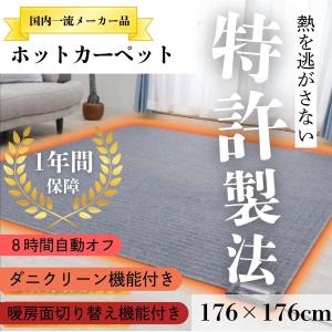 インターセントラル】サンレッジ 蓄熱暖房機 ZXシリーズ(ファンレス