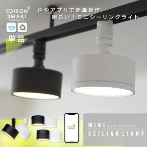 エジソンスマート ミニ シーリングライト led スマート照明 WiFi ダクトレール 照明 スポットライト ダウンライト おしゃれ スマホ 調光調色 アレクサ Google　｜nestbeauty