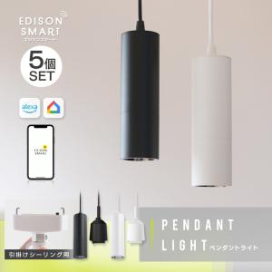 Edison Smart（エジソンスマート） ペンダントライト 引っ掛け