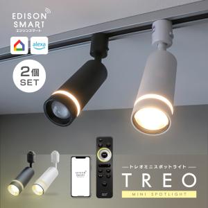 ダクトレール用 ミニスポットライト 2灯 LED...の商品画像