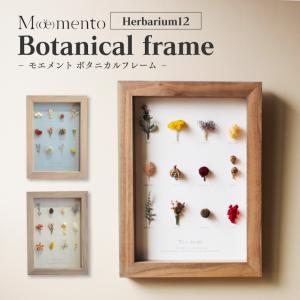 フラワーフレーム Moemento ドライフラワー お花付 飾れる Herbarium12