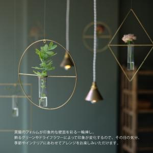 花瓶 壁掛け PIKE ピケ ウォールブラスベ...の詳細画像1