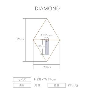 花瓶 壁掛け PIKE ピケ ウォールブラスベ...の詳細画像4
