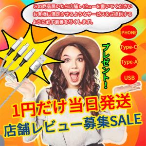 1円だけ 充電ケーブル