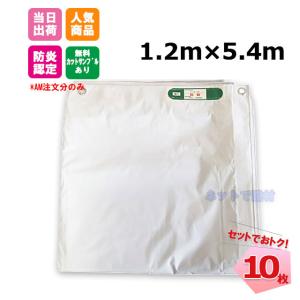 ���h���V�[�g 1.2���~5.4m 450P 10���Z�b�g ����0.24mm �{�� ���h���F�菤�i KUS ���� ��ς݃J�o�[ �h����� 141261170