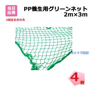 グリーンネット 5m×5m 30mm目 ラッセル 1枚 大嘉産業 141330020
