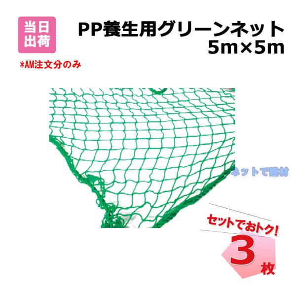 PP 養生用 グリーンネット 3枚 セット 5m×5m  網目25mm 手提げバッグ付き