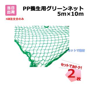 野球ネット 5m×10m 多目的PPグリーンネット 多目的万能練習用ネット