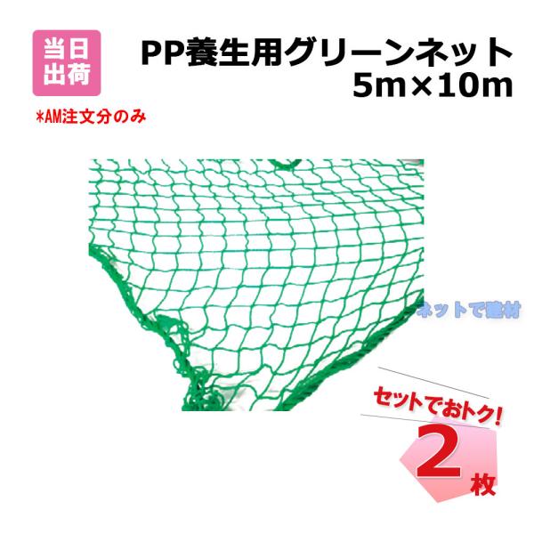 PP 養生用 グリーンネット 2枚 セット 5m×10m 網目25mm 手提げバッグ付き