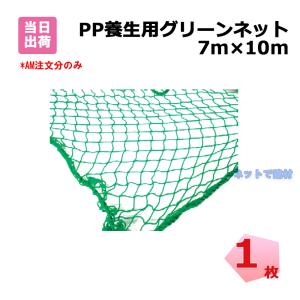 60本野球ネット4m×10m （グリーン） : アズマネット