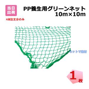 PP養生用 グリーンネット 5m×7m 25mm目 養生ネット : 今戸屋建材ヤフー