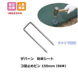 防草シート コンクリート用ビスセット CT-BW200 200本 GF