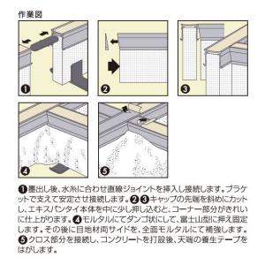 エキスパンタイ 1本 グレー TC-20-80...の詳細画像2