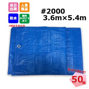 �u���[�V�[�g 3.6m x 5.4m #2000 50���Z�b�g �H�� �C�x���g �{�� KUS ���W���[�V�[�g ��C �䕗�@