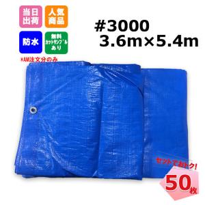 �u���[�V�[�g 3.6m x 5.4m #3000 ���� 50���Z�b�g �H�� �C�x���g �{�� KUS ���W���[�V�[�g ��C �䕗�@