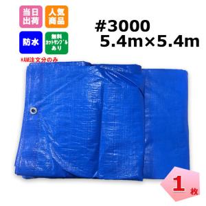 �u���[�V�[�g 5.4m�~5.4m #3000 ���� 1�� �H�� �C�x���g �{�� KUS ���W���[�V�[�g ��C �䕗�@