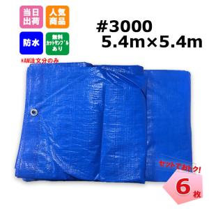 �u���[�V�[�g 5.4m�~5.4m #3000 ���� 6���Z�b�g �H�� �C�x���g �{�� KUS ���W���[�V�[�g ��C �䕗�@