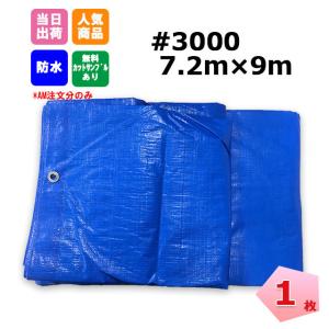 ブルーシート 厚手 #3000 10×10 2枚セット 2枚セット】ブルーシート 10m×10m 厚手タイプ #3000番