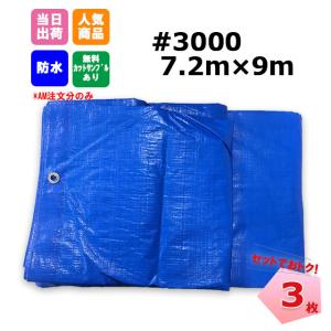 ブルーシート 厚手 #3000 10×10 2枚セット 楽天市場】ブルーシート 10m×10m ＃3000 厚手 2枚入 : 建TOOL