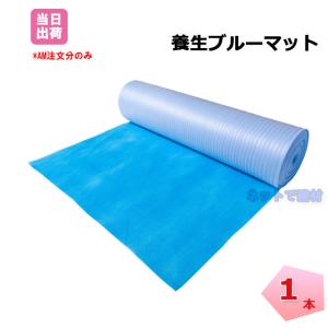 �{���u���[�}�b�g 1�{ ��1m�~30m �l���z���s��