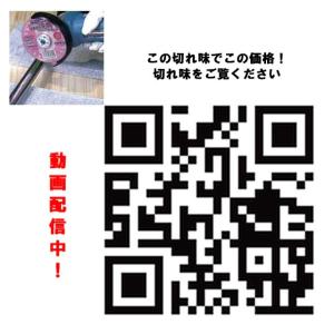 ダイヤテック 切れるンジャー切断砥石0.8 直...の詳細画像2