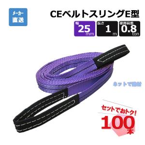 CEベルトスリングE型 65302 100本 セット フリーク 紫 幅25mm 長さ1m 使用荷重800kg｜net-de-kenzai