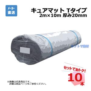 アオイ化学工業 （送料別途/詳細は商品説明） AOI キュアマット T-10