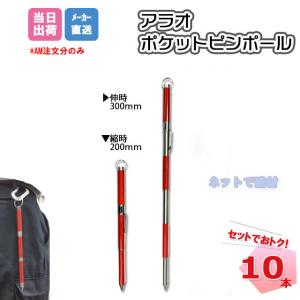 アラオ ポケットピンポールロング 10本セット AR-4154 測量 ピンポール