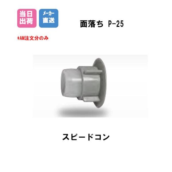 Pコン穴埋め栓 スピードコン 面落ち P-25(W5/16用 1000個入)BiC Pコン穴　耐候性...