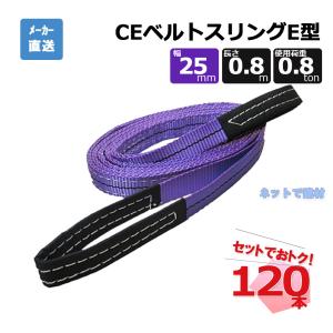 CEベルトスリングE型 65301  120本  セット フリーク 紫 幅25mm 長さ0.8m 使用荷重800kg｜net-de-kenzai