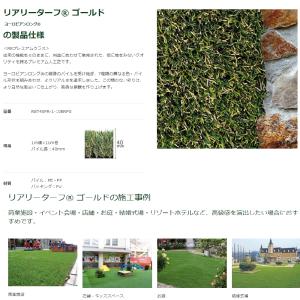 人工芝 リアリーターフ ゴールド ヨーロピアン...の詳細画像3
