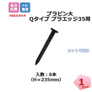 �v���s���� 6�{�Z�b�g EDG-P-6 �I�v�V���� ���T�C�N���G�b�W���O�p �O���[���t�B�[���h �f���|�� �l�{1000�~