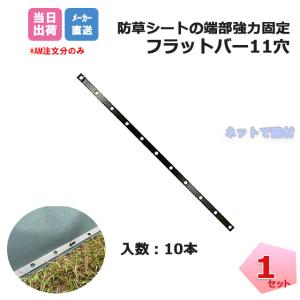 �t���b�g�o�[11�� 10�{���� P-FB-10 �h���V�[�g�̒[���⋭�� �o�^���h�~ �ΐF�T�r�~�߃R�[�e�B���O�d�l �l�{1000�~