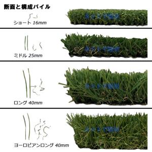 人工芝 リアリーターフ ヨーロピアンロング R...の詳細画像5