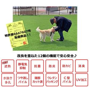 人工芝 リアリーターフ ミドルプラス RET2...の詳細画像1