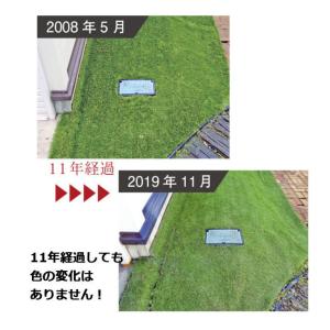 人工芝 リアリーターフ ミドルプラス RET2...の詳細画像5