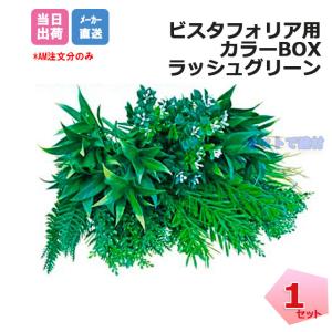 �J���[BOX ���b�V���O���[�� 1�� VG-GRSET �C���V�����b�N�t�� �r�X�^�t�H���A �ǖʗΉ��p�l�� �l�H�A�� �t�F�C�N�O���[�� �l���z���{1000�~